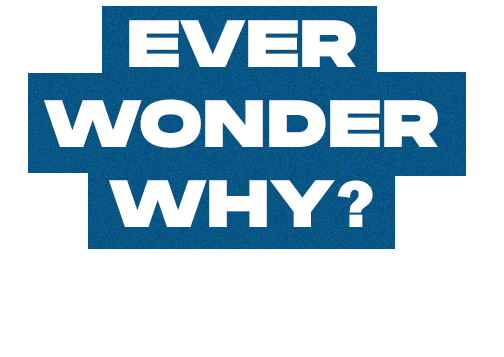Ever Wonder Why | Life.Church