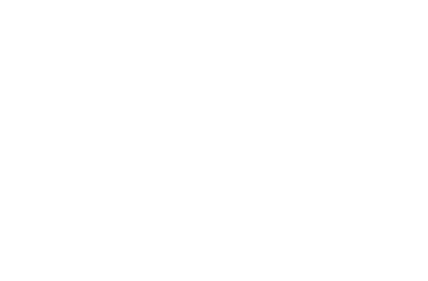 Soldiers Of The Pope