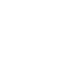 The Bedbug Bible Gang
