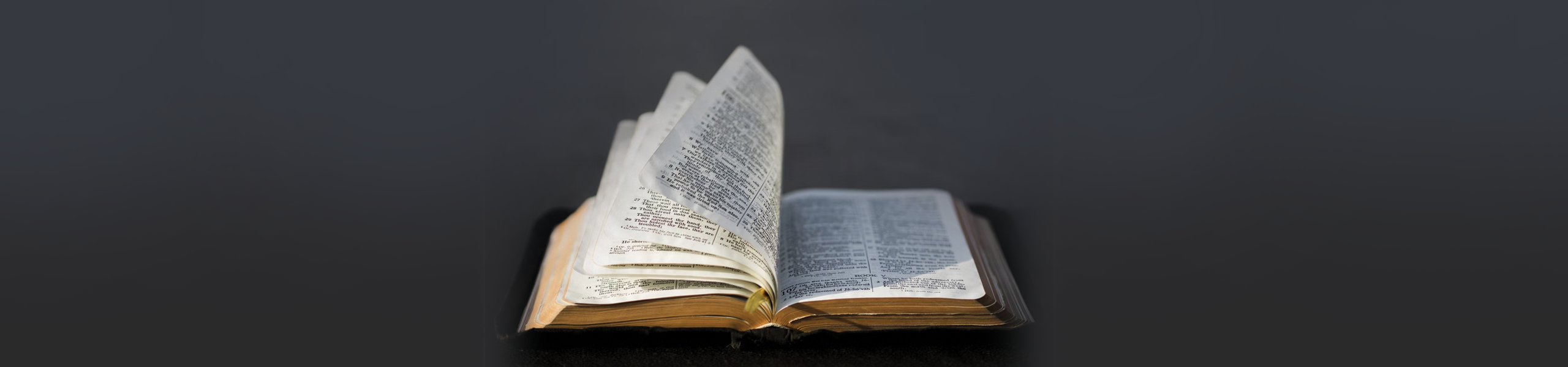 Look at the Book: Ephesians | John Piper
