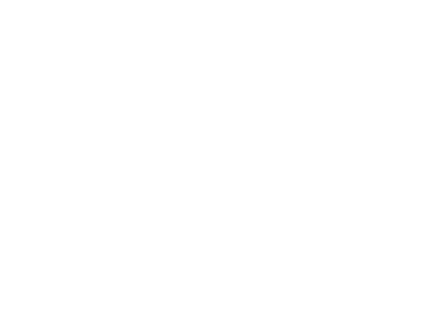 Robert Hicks Story