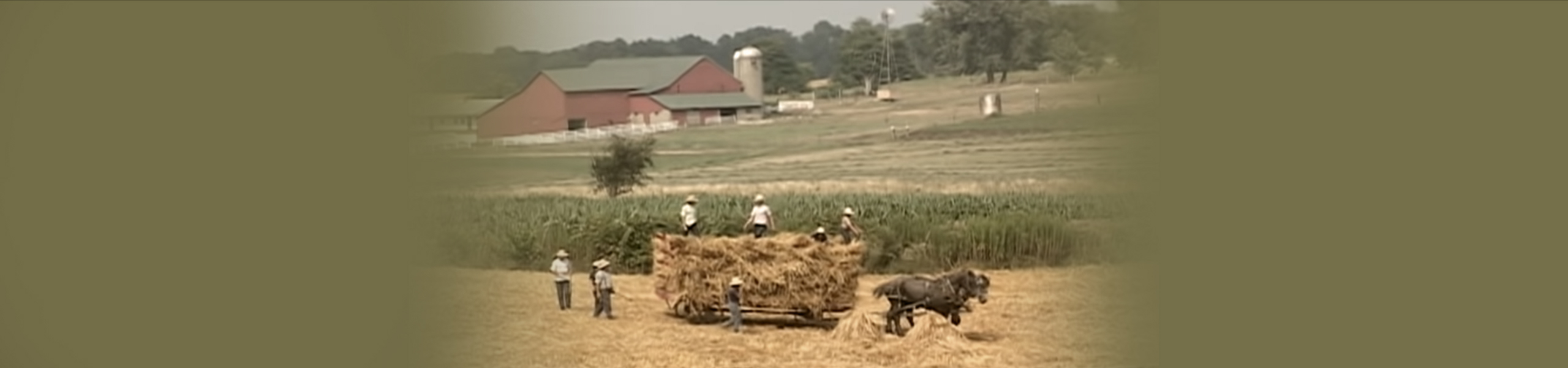 The Amish: How They Survive