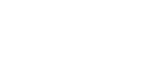 The Forbidden Book 