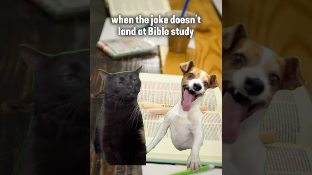 Bible Study Humor 🤭