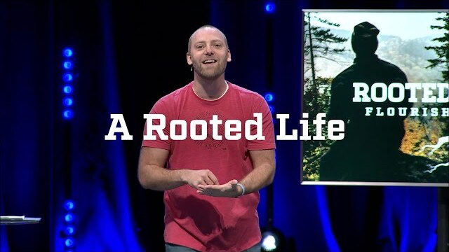 A Rooted Life