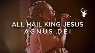All Hail King Jesus + Agnus Dei - Rheva Henry | Moment