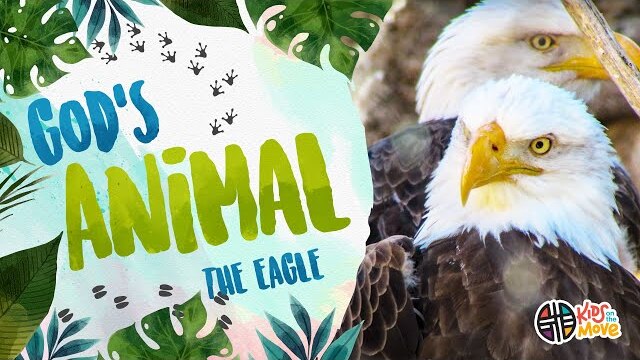 GOD'S ANIMAL - THE EAGLE | Kids on the Move