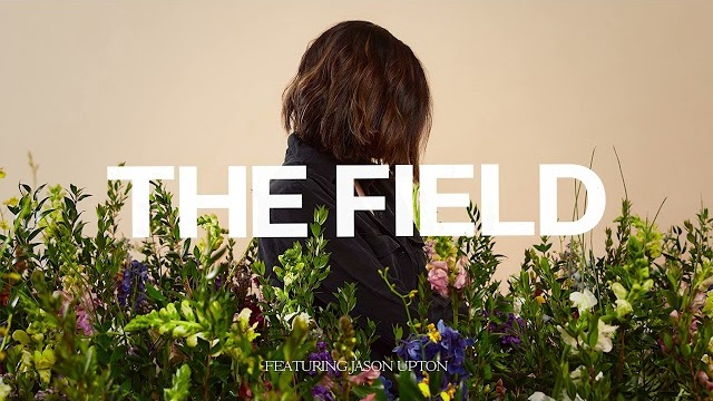 The Field - Kristene DiMarco | The Field