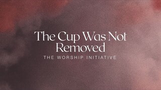 The Cup Was Not Removed (Official Lyric Video) | The Worship Initiative