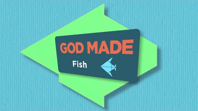 God Made: Fish