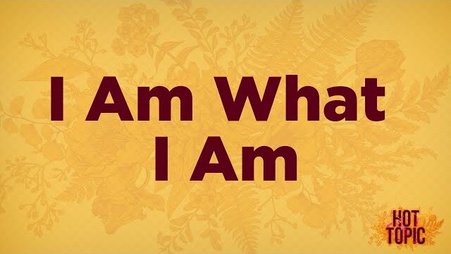 I Am What I Am: A Biblical Response to Homosexuality | Women's Hot Topic 2010