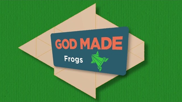 God Made: Frogs