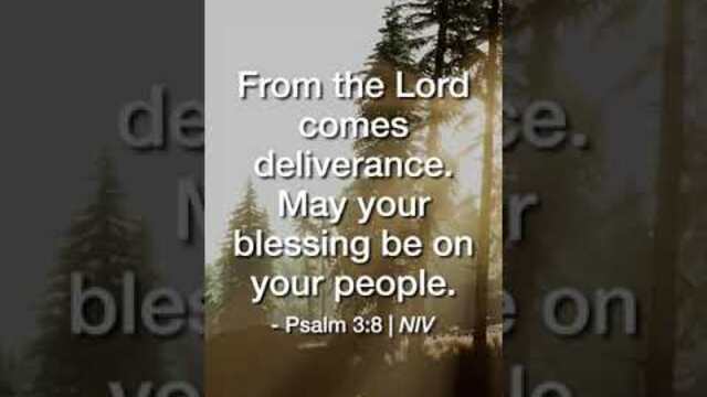 From the Lord Comes Deliverance | Daily Bible Devotional Psalm 3:8