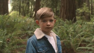 Into The Wild - Josh Baldwin | Evidence [Official Music Video]