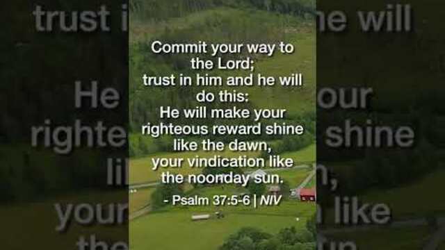 He WILL Do This | Daily Bible Devotional Psalm 37:5-6