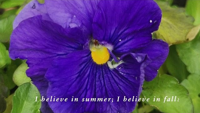 I believe in Springtime - by John Rutter