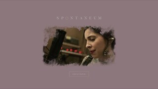 Spontaneum EXCLUSIVE  |  Laura Hackett Park |  Forerunner Music