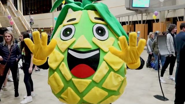 Pineapple Mayhem 2022 Highlight