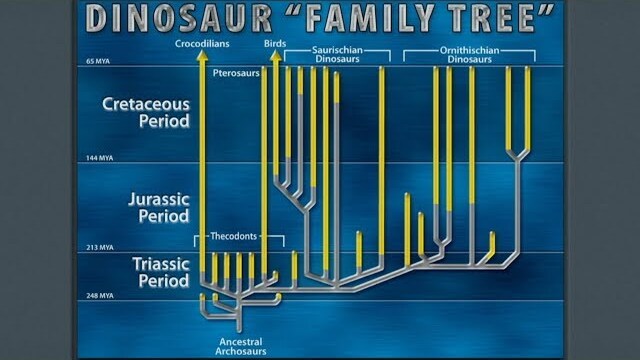 Dinosaur Family Tree with Dr. Tommy Mitchell