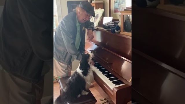 Watch until the end to hear how Windsor’s singing lessons are going! 🐶🎶🤣 #GaitherMusic #Dog #Pup