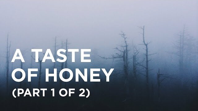 A Taste of Honey (Part 1 of 2) - 11/18/22