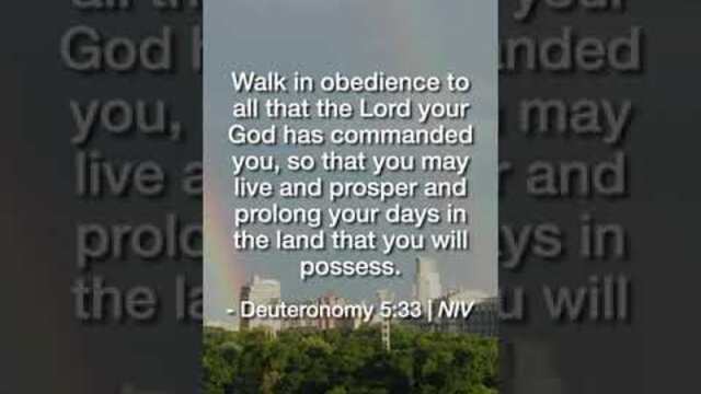 Walk In Obedience | Daily Bible Devotional Deuteronomy 5:33