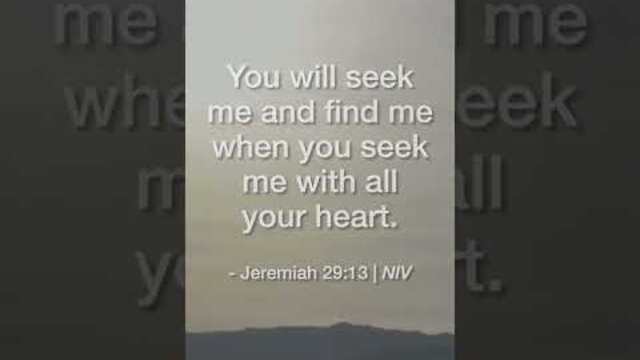 You Will Seek Me | Daily Bible Devotional Jeremiah 29:13