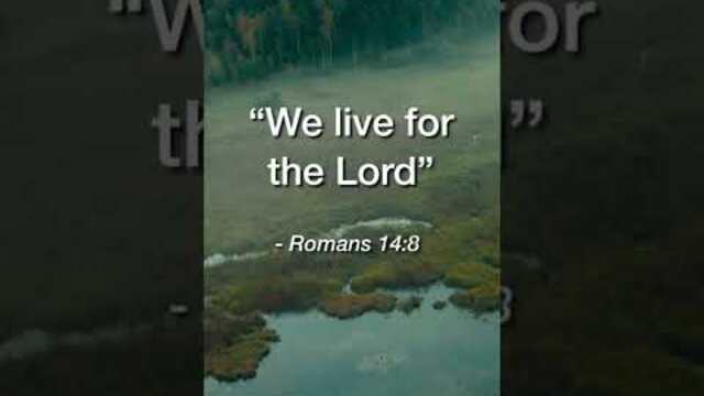 We Live For the Lord | Daily Bible Devotional Romans 14:8