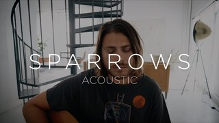 Sparrows (Acoustic) - Cory Asbury