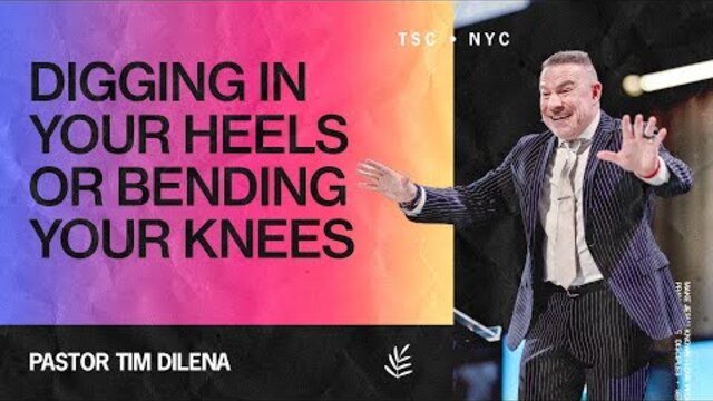 Digging In Your Heels or Bending Your Knees | Tim Dilena