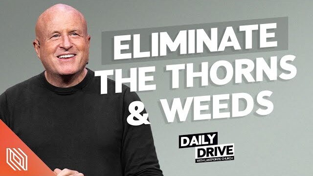 Ep. 319 🎙️ Eliminate the Thorns & Weeds // The Daily Drive with Lakepointe Church