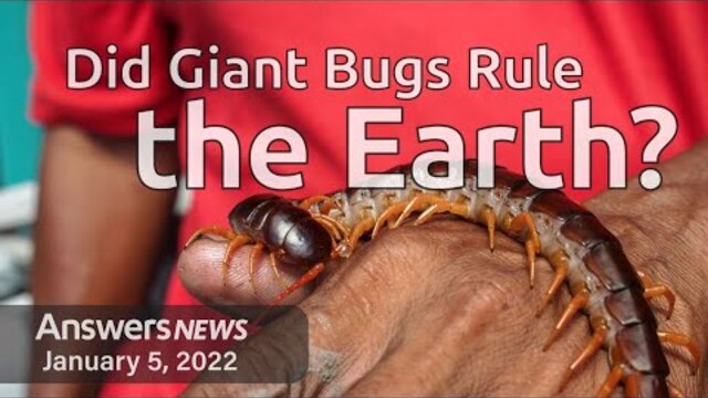 Did Giant Bugs Rule the Earth? - Answers News: January 5, 2022