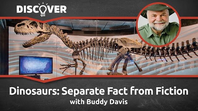 Dinosaur Detective - Separating Fact from Fiction