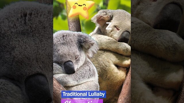 Clementine ♫ Traditional Lullaby ❤ Super Relaxing Music to Sleep Nursery Rhymes #shorts
