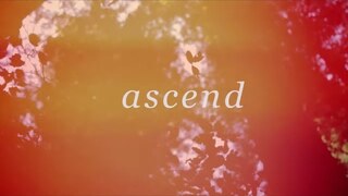 Ascend (Official Lyric Video) - William Matthews | Tides