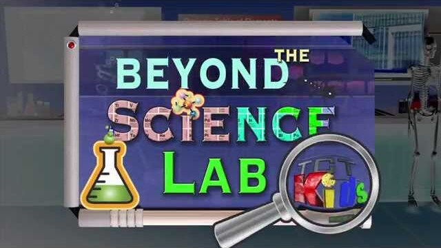 Beyond the Science Lab: Inertia Experiment