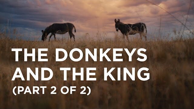The Donkeys and the King (Part 2 of 2) - 11/03/22
