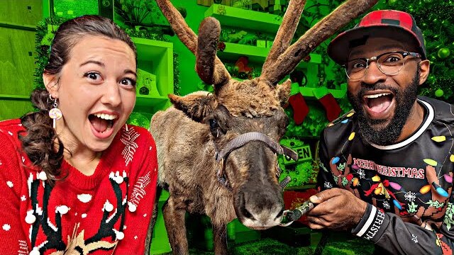 We Secretly Put a Reindeer in the Room (Christmas 2023) | The Loop Show