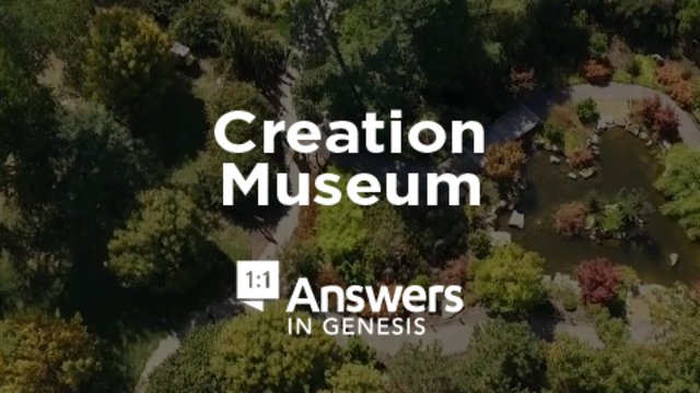 Creation Museum | Answers in Genesis
