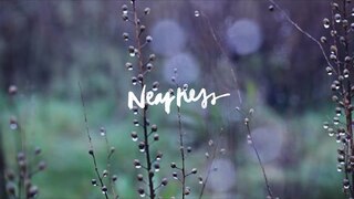 Nearness (Song Story) - Jenn Johnson | We Will Not Be Shaken