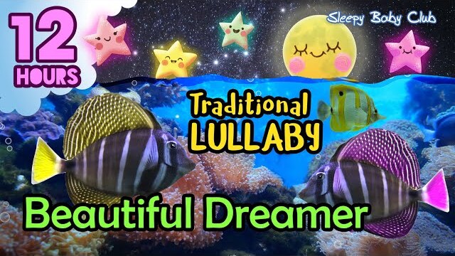 🟡 Beautiful Dreamer ♫ Traditional Lullaby ❤ Best Music For Baby to Sleep Soothing Sound Gentle Music