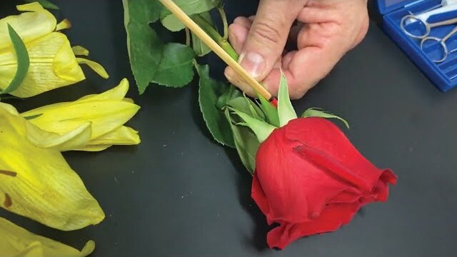 Hands On: Dissecting Flowers