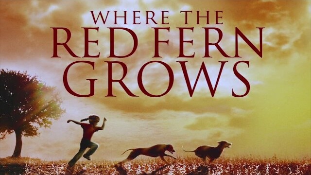Where the Red Fern Grows (1974) | Trailer | James Whitmore | Beverly Garland | Jack Ging