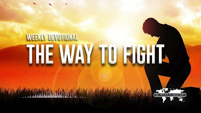 The Way to Fight