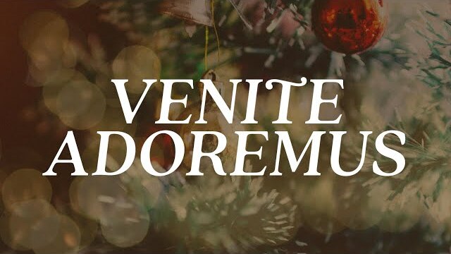 LIVE: Venite Adoremus (December 19, 2021)