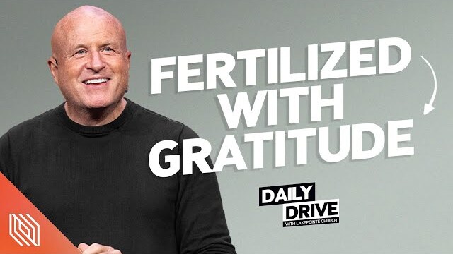 Ep. 320 🎙️ Fertilized with Gratitude // The Daily Drive with Lakepointe Church
