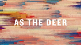 As The Deer (Official Lyric Video) |  Matt Gilman  |  BEST OF ONETHING LIVE