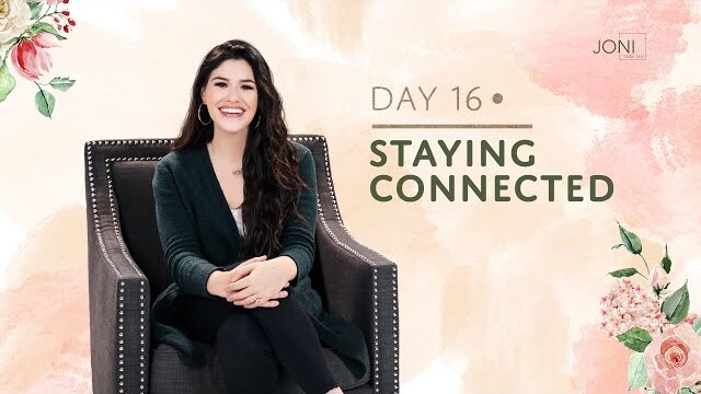 Staying Connected | Rebecca Lamb Weiss