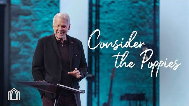 Consider the Poppies | Pastor Mike Hayes