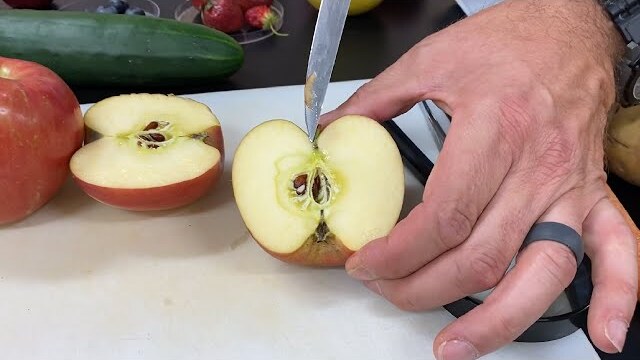 Hands On: Fruit Dissection